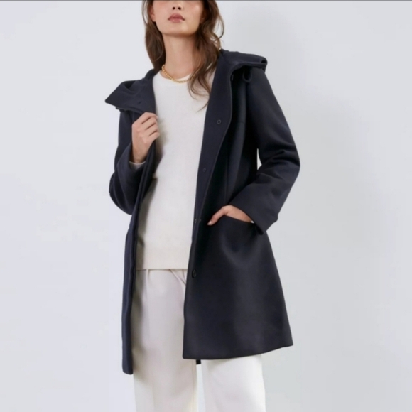 Aritzia Babaton Pearce Cashmere Wool Blend Coat